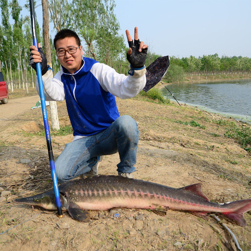 青鲟鱼竿台钓竿10米12h19调暴力杆超轻超硬大物竿正品巨物竿7.2米