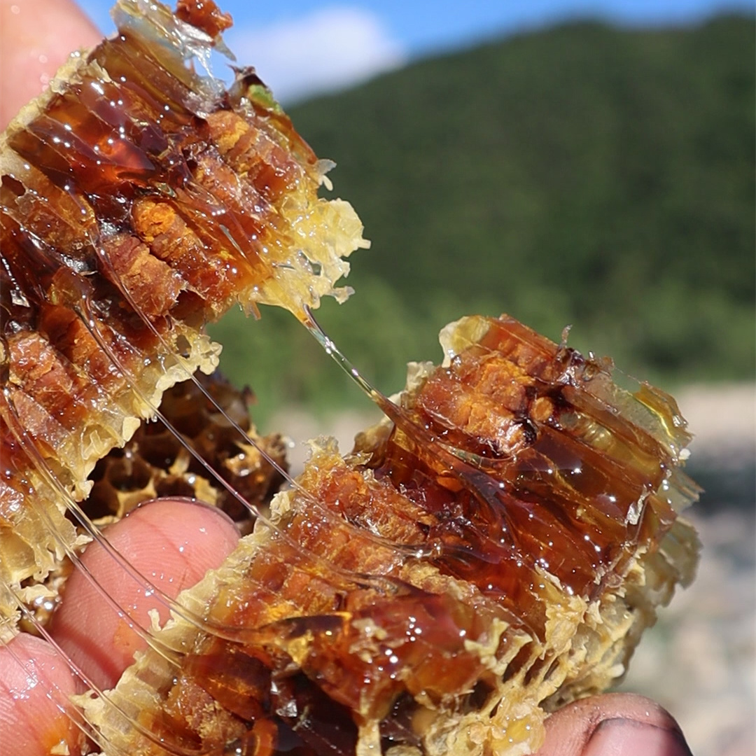 🐝带花粉蜂巢蜜秦岭野生花粉蜜嚼着吃的农家木桶纯蜂蜜天然巢蜜食用