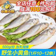 青岛野生小黄鱼(10-12条装)冰冻小黄花鱼新鲜500g冷冻海鲜水产品