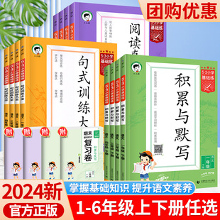 53小学基础练一年级二年级三四五六年级下册上册句式训练大全阅读真题100篇积累与默写全套同步练习册语文部编人教版五三5.3小儿郎