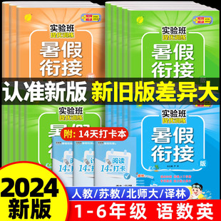 2024新版实验班暑假衔接一升二升三四五六年级下册上册语文数学英语全套人教苏教北师大版练习册小学生同步暑假作业提优训练暑期