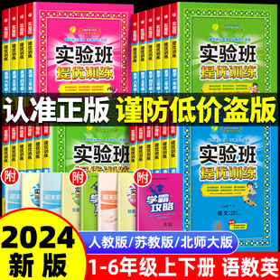 2024春新版实验班提优训练一年级上册二年级下册三年级四五六语文数学英语全套书人教版苏教北师大版小学同步练习册专项训练作业本