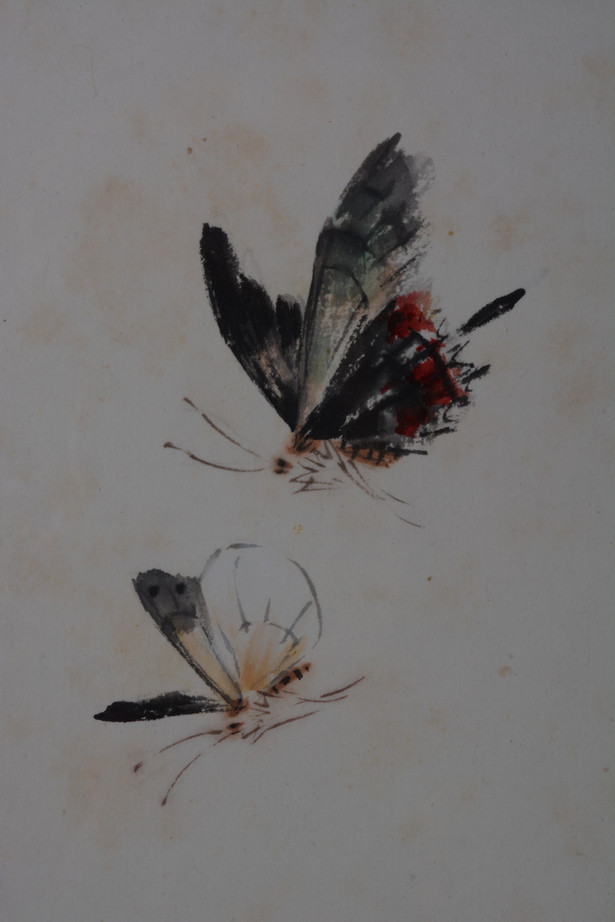 王雪涛 花蝶图 日本回流