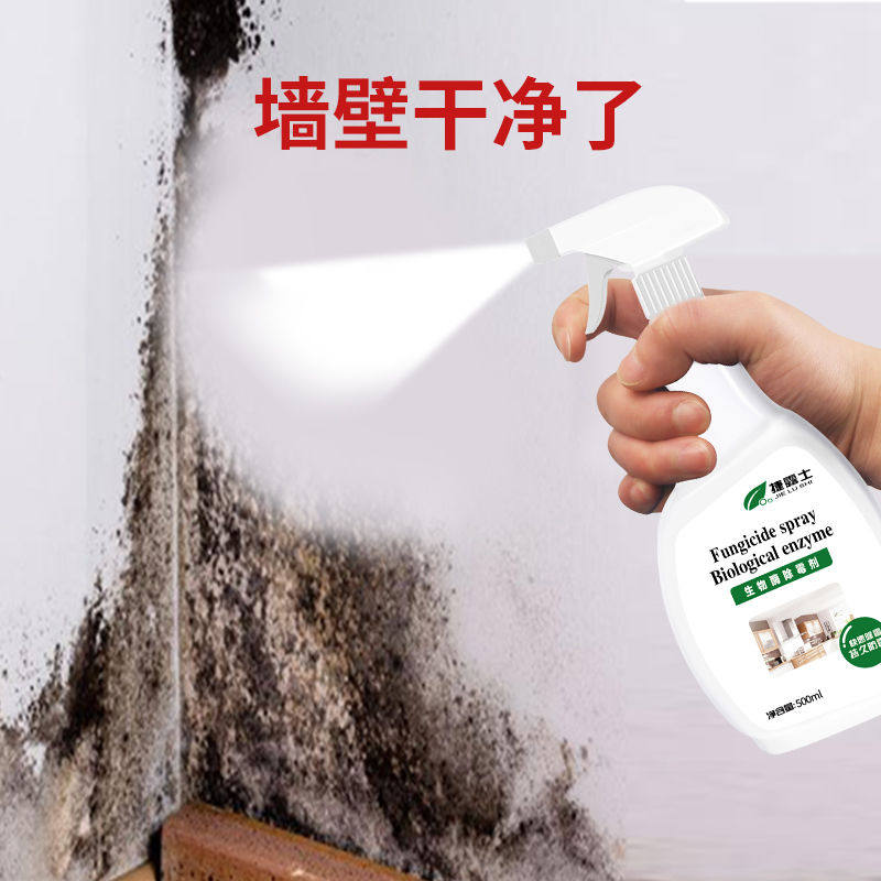 墙体除霉剂墙上墙面发霉防霉除霉味去霉房间去霉味神器喷雾剂修复