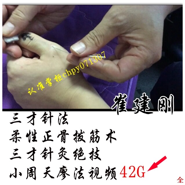 崔建刚三才针法 柔性正骨拨筋术.三才针灸绝技.小周天