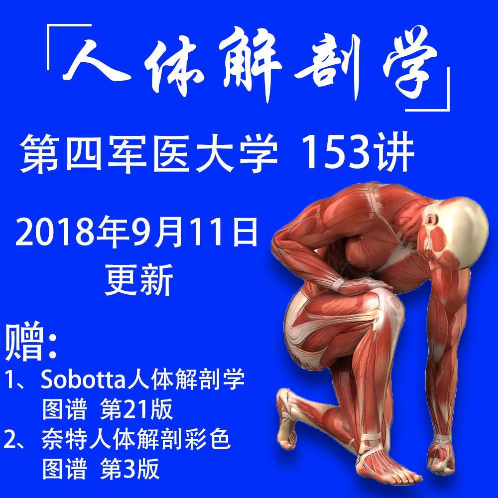 人体解剖学153讲第四军医大学视频自学教程精品课全集2018新版