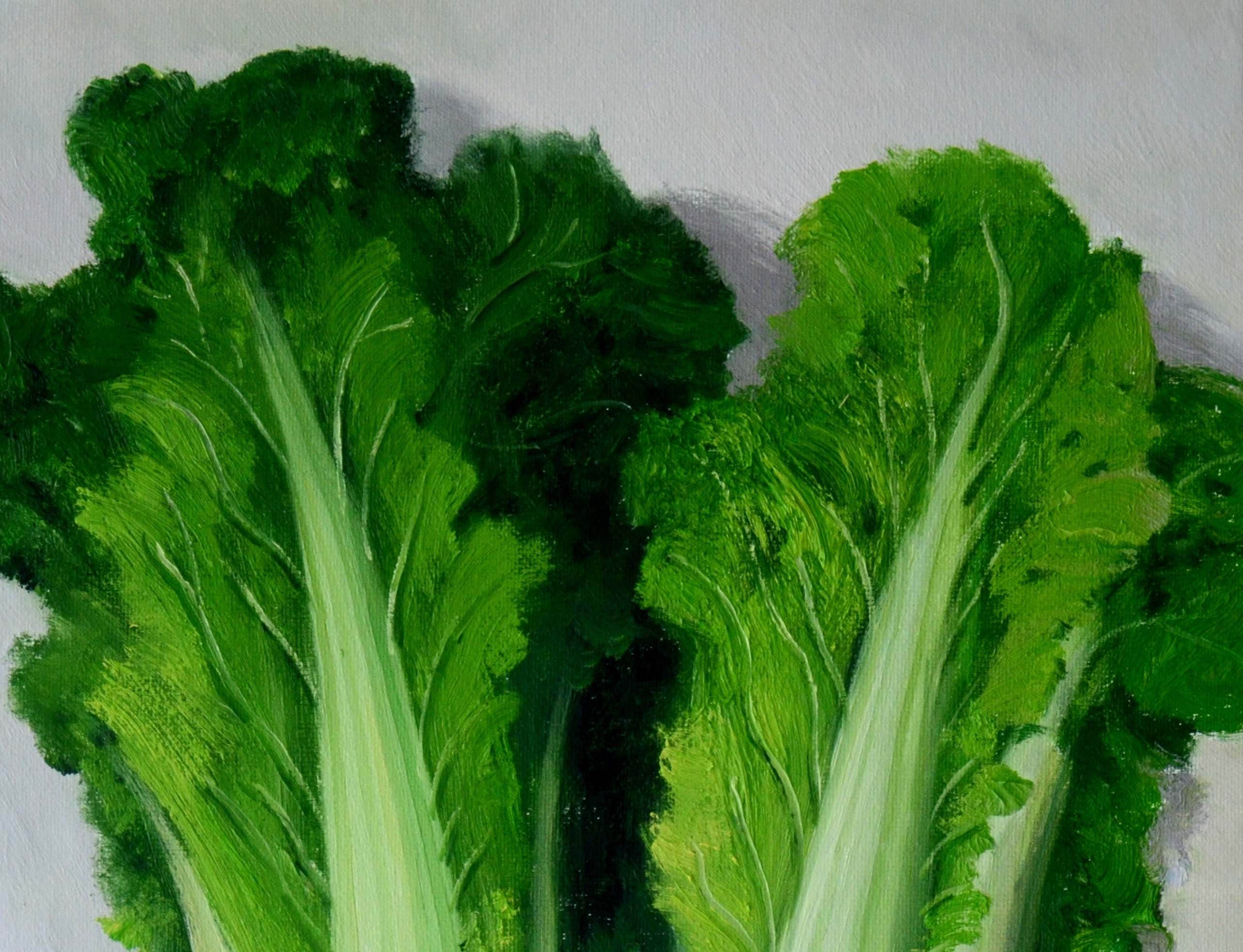 任克涛《白菜》布面油画