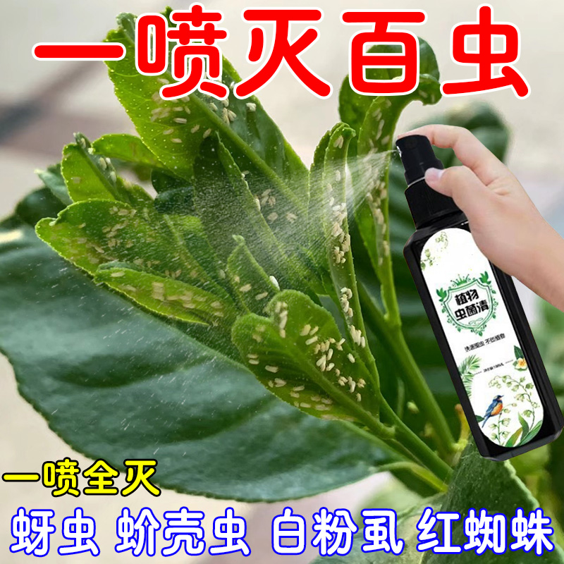 植物白粉病专用药长寿花罗汉松月季多肉绣球植物虫菌清专用杀菌药