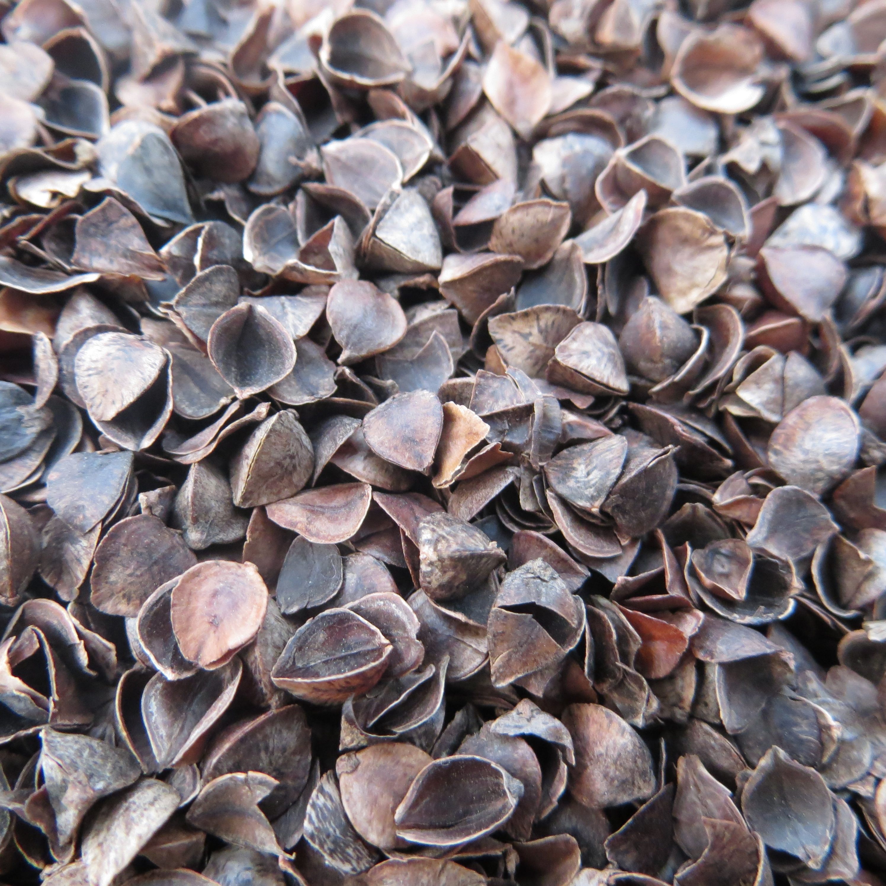 荞麦皮枕头 6斤大额优惠券