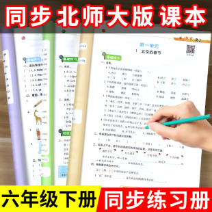 2024新 北师大版六年级下册同步练习册 小学数学和语文 书人教版英语北师大6年级下语数英专项训练试卷测试卷全套练习 题 53天天练