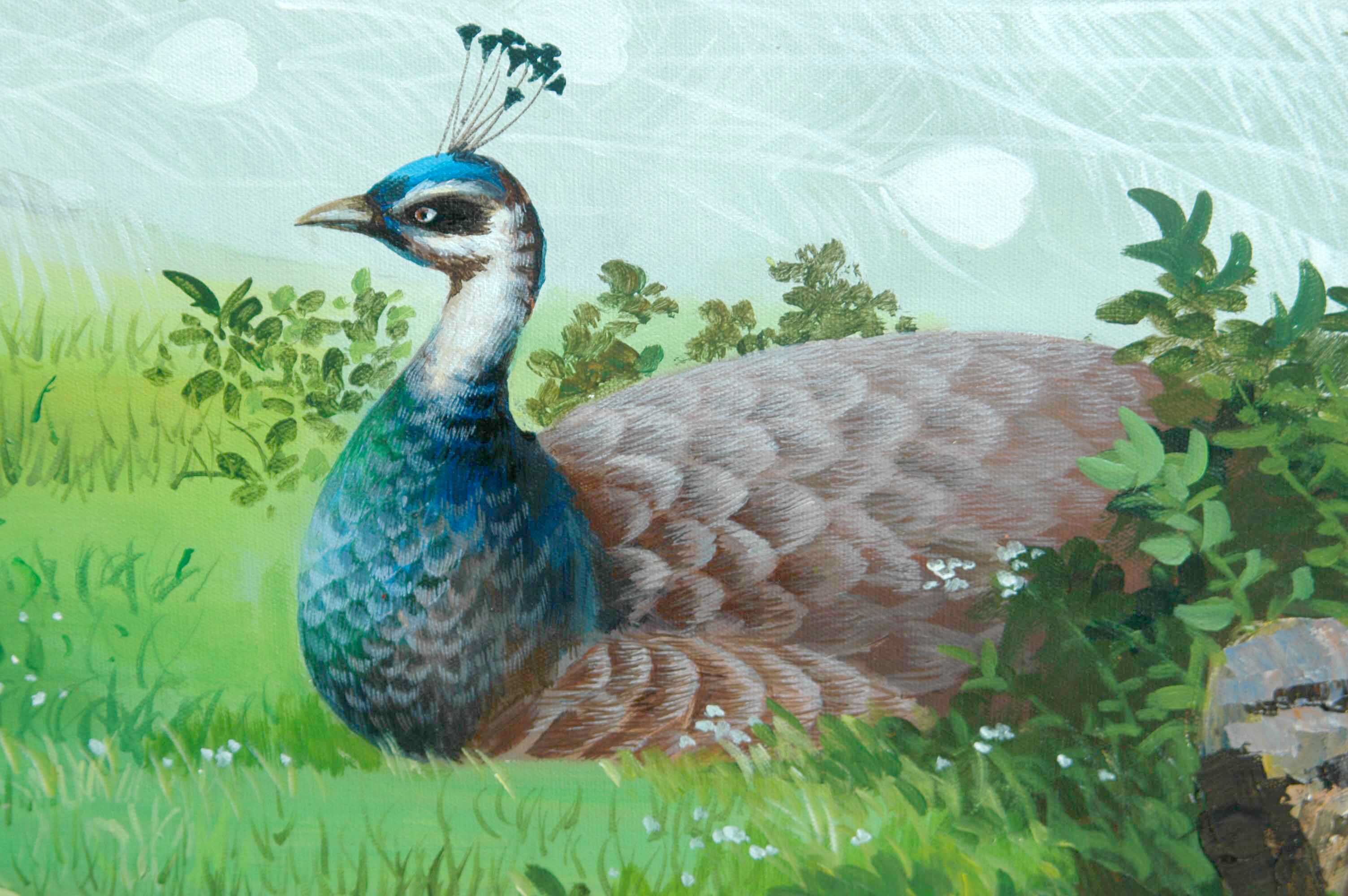 朝鲜名家丙烯画 肃 《孔雀》名家丙烯画