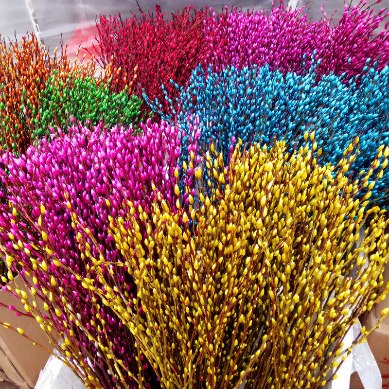 七彩银柳真花鲜枝室内福桶银柳摆件客厅插花干花银柳盆栽年宵花卉