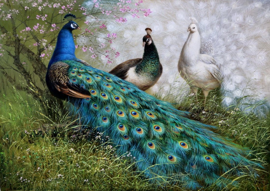 (朝鲜)朴贤哲《孔雀》平壤美术大学 大卫画廊
