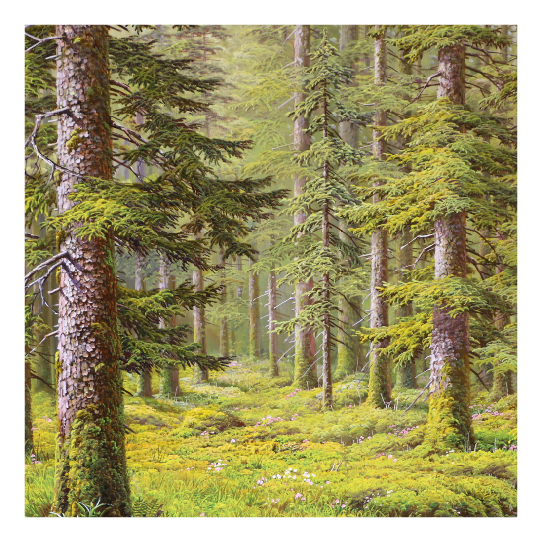 (朝鲜)季衡恩 《夏日森林》白虎创作社 大卫画廊