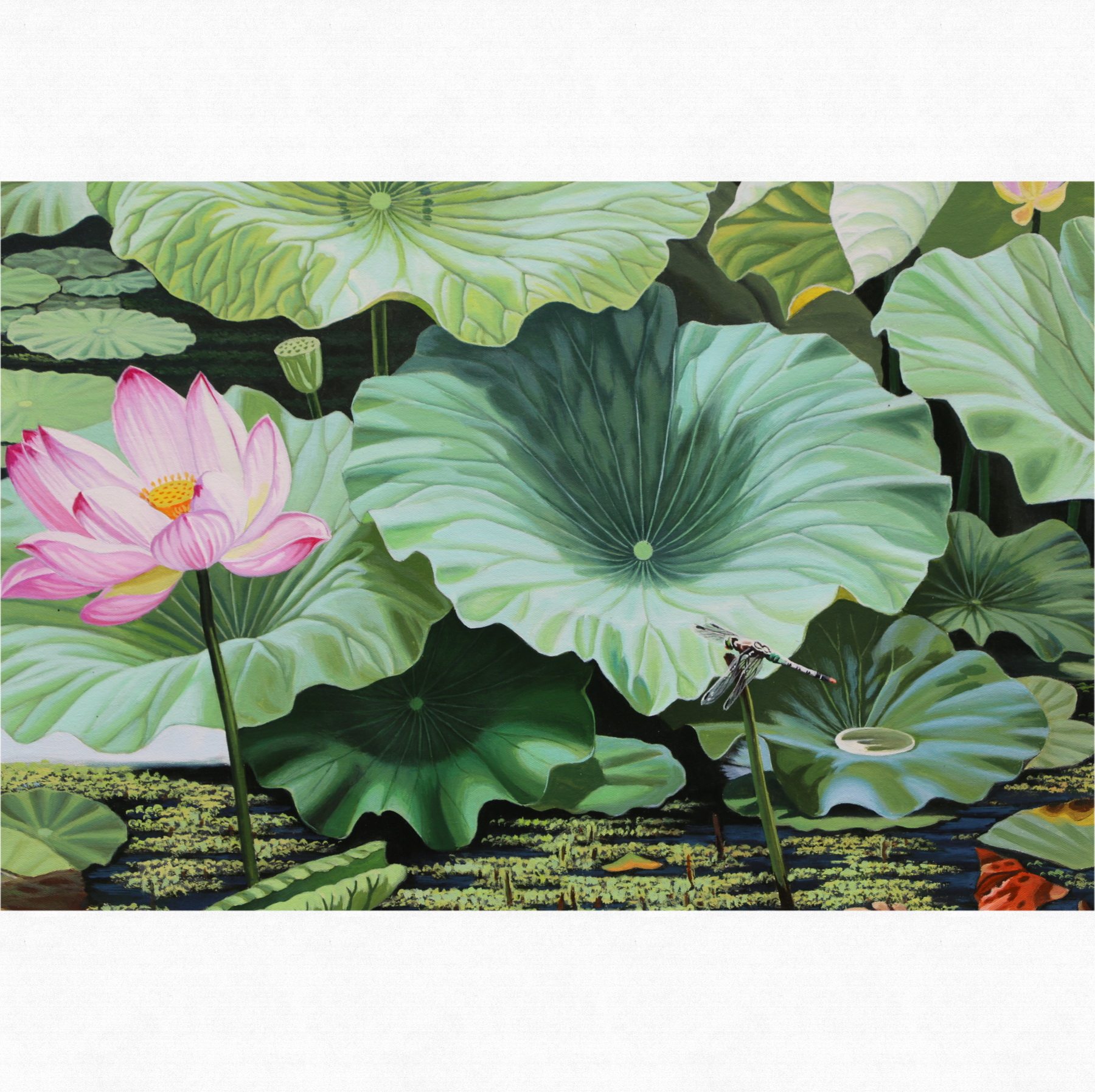 (朝鲜)全明松《夏日荷塘》白虎创作社 大卫画廊