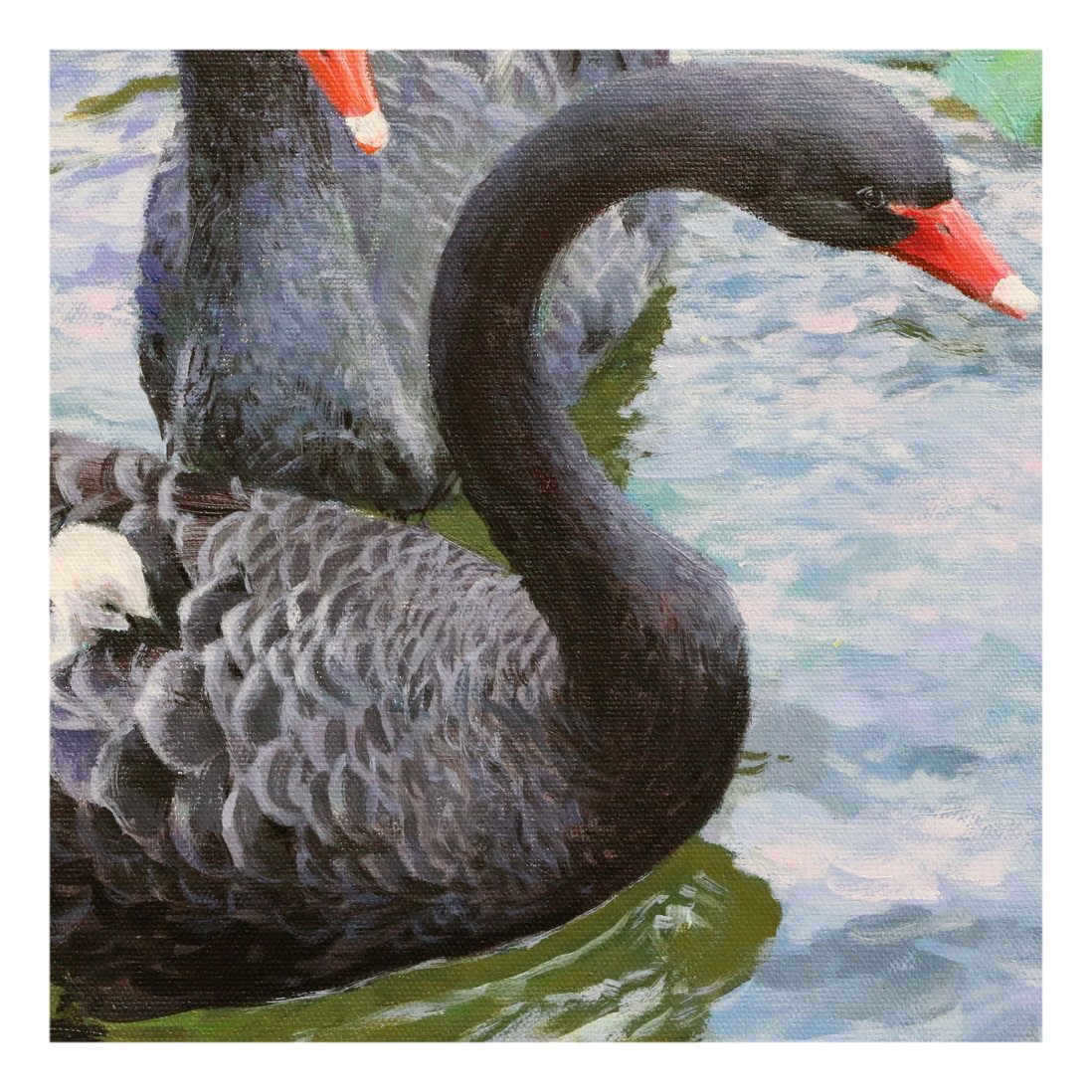 功勋艺术家 金根峰《黑天鹅》万寿台创作社 大卫画廊