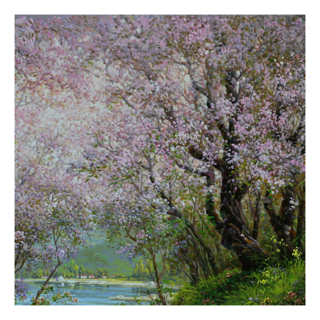 (朝鲜)功勋艺术家 金哲南《樱花》白虎创作社 大卫画廊