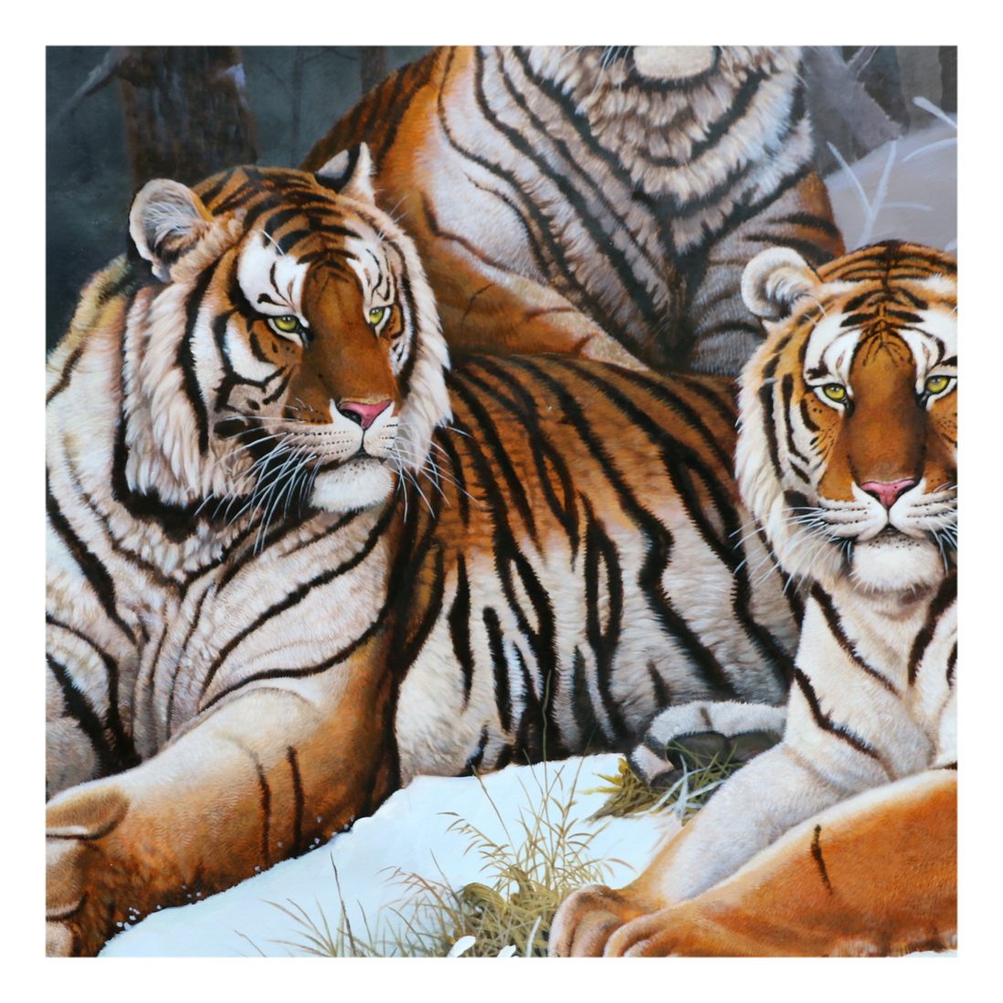 (朝鲜)巨幅三米功勋艺术家全顺男《山林中的老虎》万寿台创作社