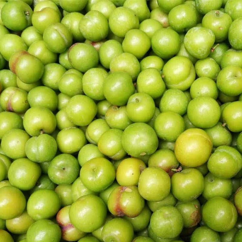 现货现摘新鲜青李子三月李孕妇5斤