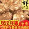 2022洋姜新鮮野鬼子姜不辣農家蔬菜醬泡腌制食用産地直銷菊芋地姜 2022洋姜新鮮野鬼子姜不辣農家蔬菜醬泡腌制食用産地直銷菊芋地姜