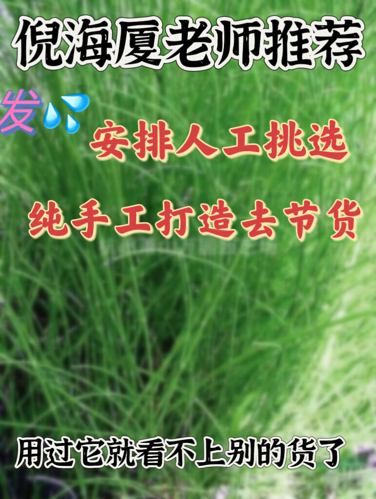 青龙草 人工挑选纯无结 杏仁甘草石膏细辛桂枝大小青龙汤倪师推荐