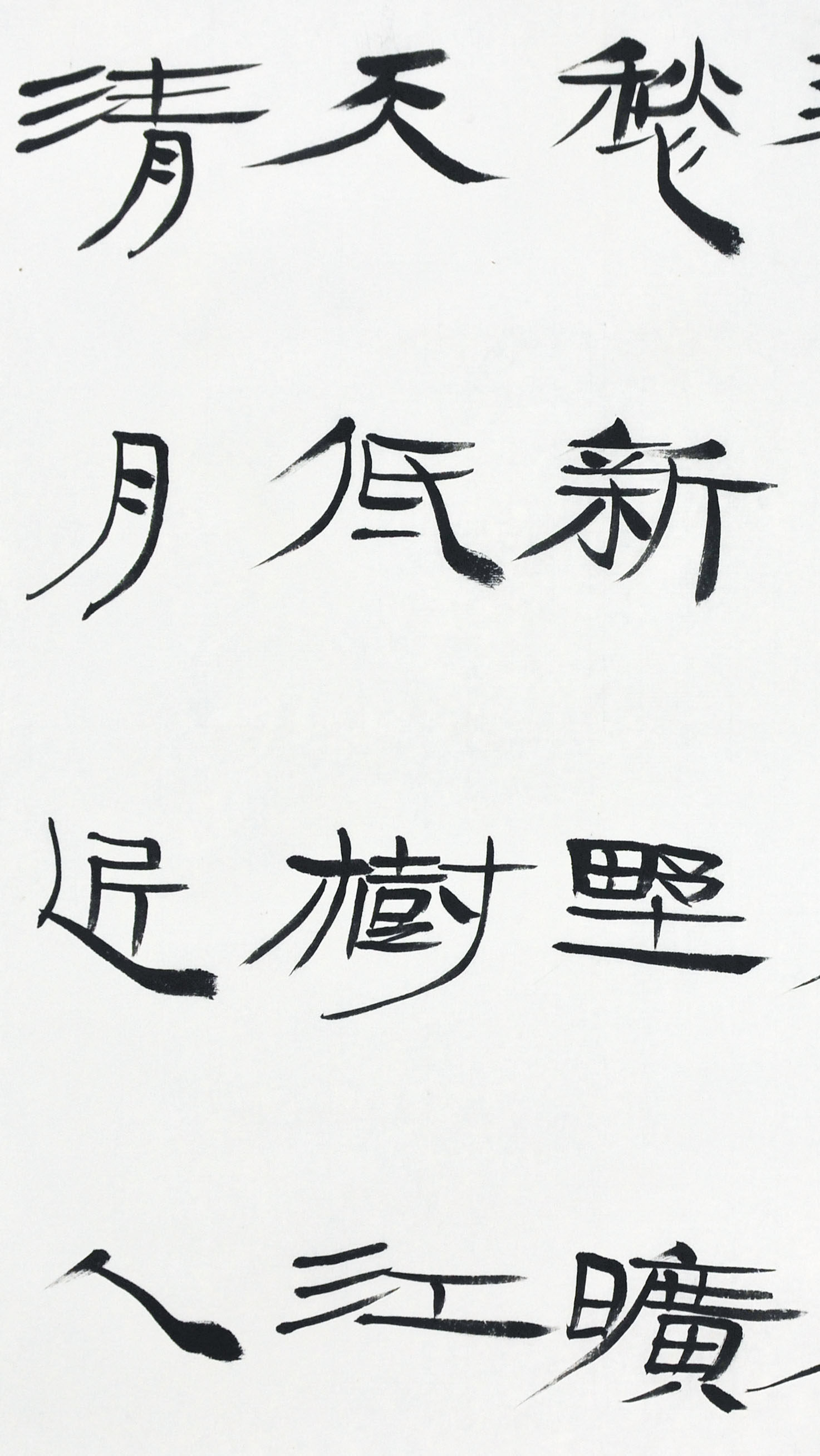 毛国典《宿建德江》中国书法家协会理事