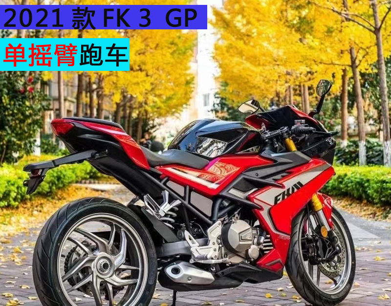 飞肯摩托fk250gp单摇臂跑车趴赛街车赛车春风nk250水冷电喷可上牌