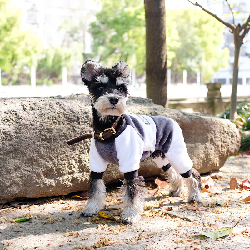 雪纳瑞衣服狗狗四脚居家服冬装泰迪比熊小型犬幼犬春秋装加厚款