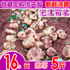 新鲜现挖凉薯地瓜 广西白土瓜白地瓜地萝卜时令水果蔬菜5斤包邮 新鲜现挖凉薯地瓜 广西白土瓜白地瓜地萝卜时令水果蔬菜5斤包邮