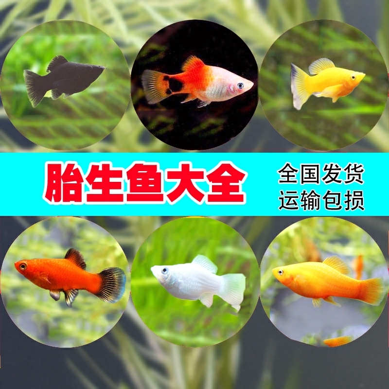 网友分享在meiguo.com上的图片