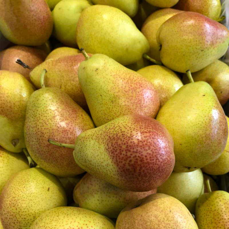 红啤梨啤酒梨新鲜水果应季当季整箱批包邮5斤太婆梨子