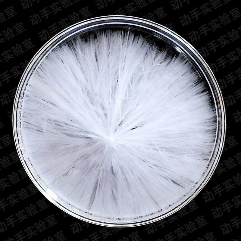 水成实验儿童童趣味科学套装热冰结晶乙醋酸钠科学实验