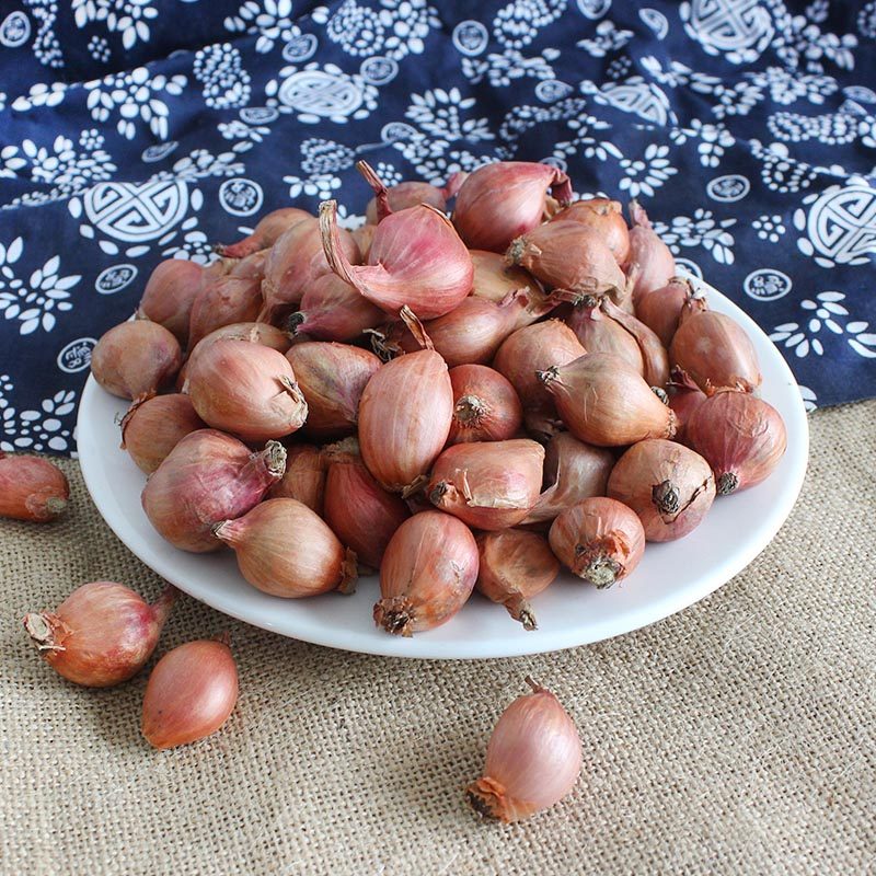 东北毛葱 小毛葱 苯毛葱 新鲜 鬼子葱 东北特产 5斤包邮 红葱头