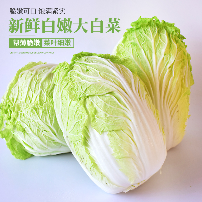 山东北大白菜新鲜蔬菜青菜黄芽小白菜带箱10斤农家自
