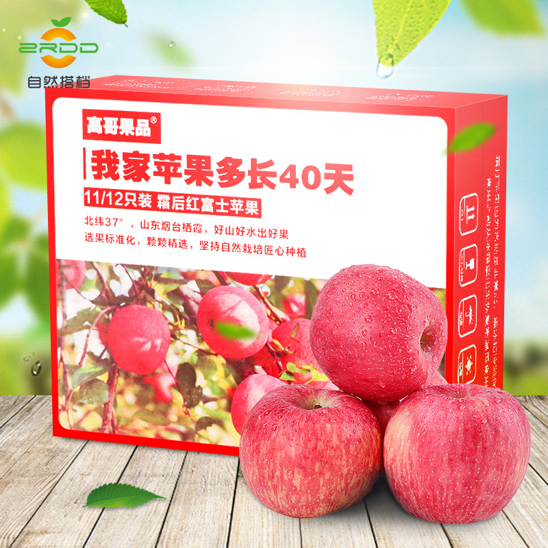 Shandong Yantai Qixia Fuji apple Fresh fruit Boutique Gift Boxin the Aquatic meat/Fresh fruits and vegetables/Cooked , Fresh fruit , Apple category - from Buy2taobao.com to provide professional Taobao agent buy service