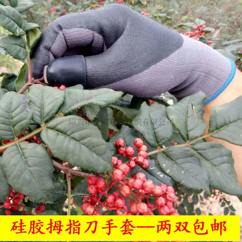 thumb Sichuan Pepper Pick Dedicated glove thumb Knife multi-function Pick Artifact glove Finger Knifein the Home Daily , Protective Equipment , Protective gloves category - from Buy2taobao.com to provide professional Taobao agent buy service
