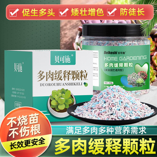 贝可施小魔粒多肉专用缓释肥料 大量元素氮磷钾复合肥 花卉水溶肥