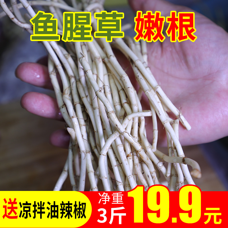 鱼腥草新鲜折耳根嫩根侧耳根猪鼻孔凉拌煮汤商用四川农家自种蔬菜|msdalam kategori daging perikanan/Buah-buahan segar dan sayur-sayuran/dimasak, sayur-sayuran segar/Vegetable Products, sayur-sayuran segar, lain - dari Buy2taobao.com untuk memberikan perkhidmatan ejen Taobao profesional membeli