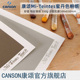 包邮 CANSON康颂Mi-Teintes蜜丹色粉画专用纸 砂面 粉彩画纸 350g 沙面肌理500x650mm 10张/包