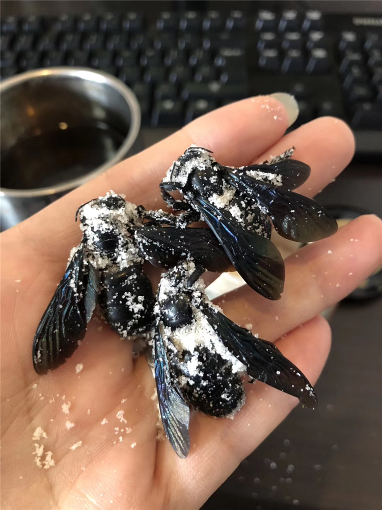 竹蜂盐罐装腌制三年以上效果好见效快