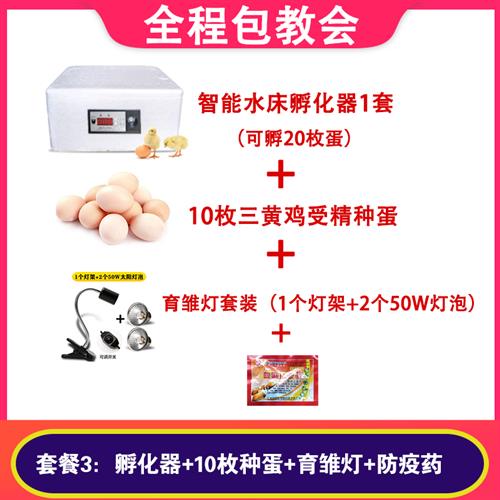 爆款学家用水床z孵化枚全套送y种蛋10器可孵化小鸡型生实验