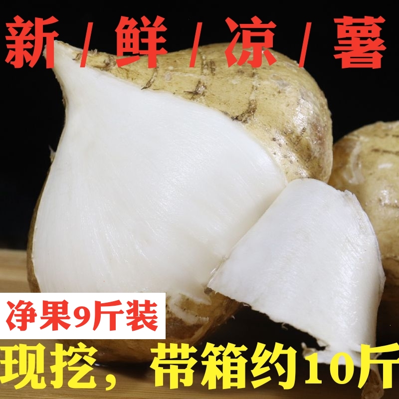 广西新鲜现挖凉薯蔬菜带箱10斤自种