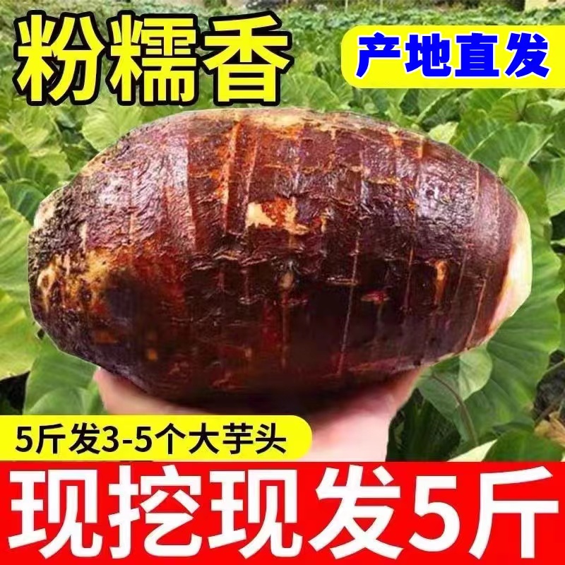 广西荔浦新鲜大芋头9斤芋头槟榔芋艿