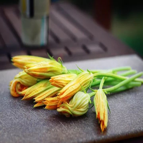 1000g新鲜南瓜花番瓜花可食用蔬菜花现摘酒店饭店餐饮食材包邮