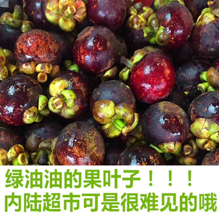 【顺丰包邮】海南三亚山竹5斤新鲜水果沙竹 油竹山竹水果皇后包邮|ruв категории водной мясо/свежие фрукты и овощи/еда, свежие фрукты, Мангостан - от Buy2taobao.com для оказания профессиональной услуги покупки агента Taobao