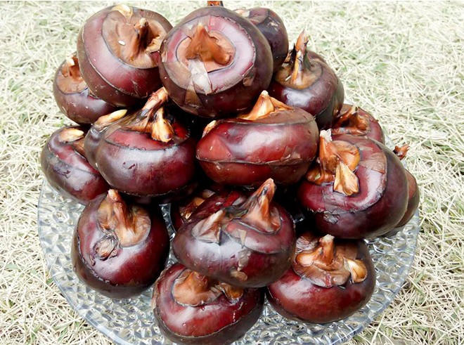 新鲜马蹄9斤荸荠当季大地脆栗梨农家水果去皮饽荠珍珠蔬菜10包邮