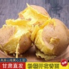 甘肃定西土豆2022年当季新鲜黄皮沙面粉糯洋芋爆皮现挖蔬菜马铃薯 甘肃定西土豆2022年当季新鲜黄皮沙面粉糯洋芋爆皮现挖蔬菜马铃薯