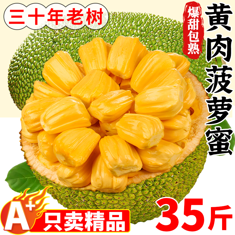 海南菠萝蜜一整个35斤新鲜黄肉波萝