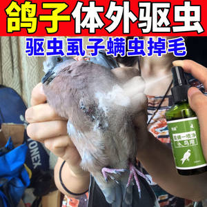 鸟体外驱虫药一喷净鸽子常啄毛异常掉毛螨虫虱子跳蚤蜱虫鸟类用品