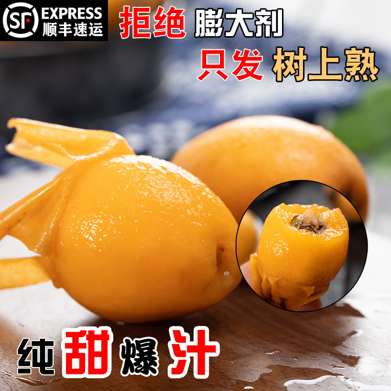 膨大剂!甜味浓郁树上熟特大5枇杷